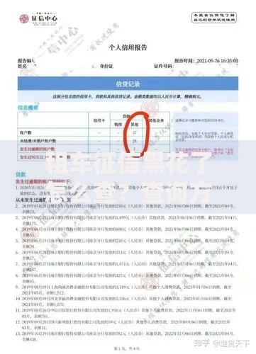 租车征信黑花了怎么查？查询方法与修复指南