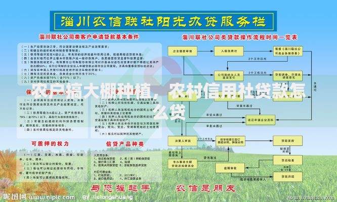 农户搞大棚种植,农村信用社贷款怎么贷 农户搞大棚种植,农村信用社贷款怎么贷
