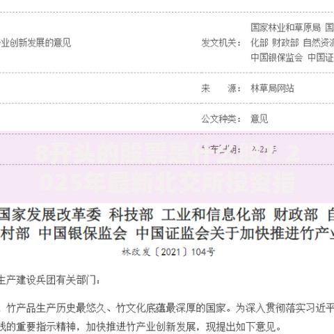 8开头的股票是什么股？2025年最新北交所投资指南