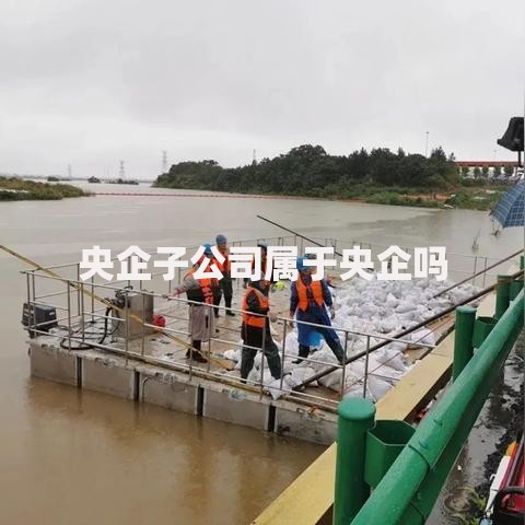 央企子公司属于央企吗