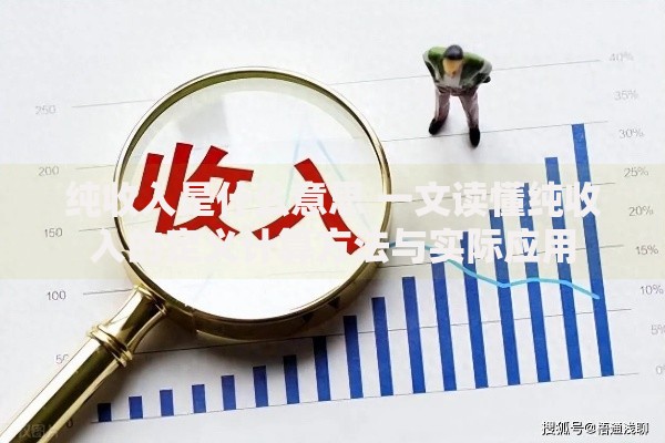 纯收入是什么意思 一文读懂纯收入的定义计算方法与实际应用
