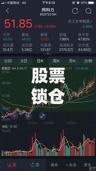 股票锁仓是什么意思 为什么说锁仓是炒股高手必学技巧