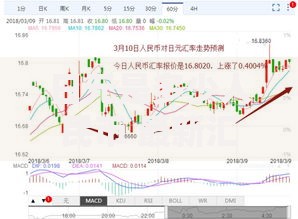 日元是多少人民币 最新汇率换算及走势分析