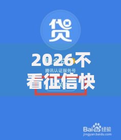 2026不看征信快速借1000，差2000元就选这5个平台