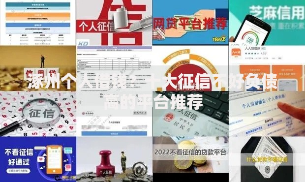 涿州个人借钱？十大征信不好负债高的平台推荐