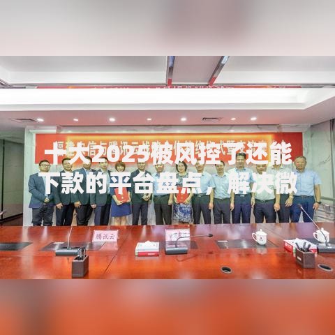 十大2025被风控了还能下款的平台盘点，解决微信有哪几种借钱功能的问题