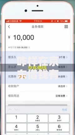 咋样在京东借钱有哪些？10个貌似免审批、平台容易借钱合集