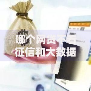 哪个网贷不看征信和大数据的平台的话，可以看看这5个网贷借钱平台好