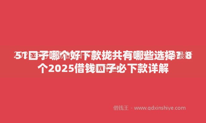 51口子哪个好下款拢共有哪些选择？8个2025借钱口子必下款详解