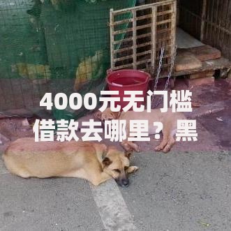 4000元无门槛借款去哪里？黑户网上贷款靠谱平台看这8个平台