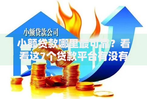 小额贷款哪里最可靠？看看这7个贷款平台有没有能下款的