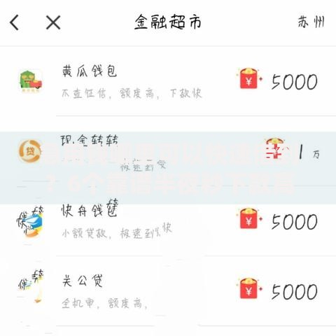 急用钱哪里可以快速借到？6个靠谱半夜秒下款高炮口子推荐