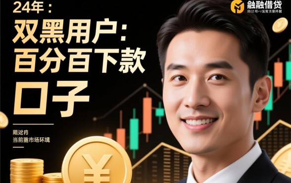 双黑用户百分百下款口子