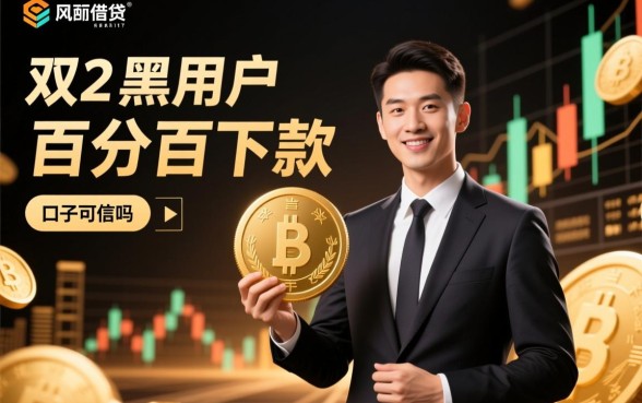 双黑用户百分百下款口子