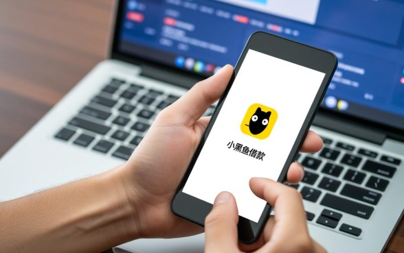 类似小黑鱼借款app下载一样安全的网贷口子有哪些