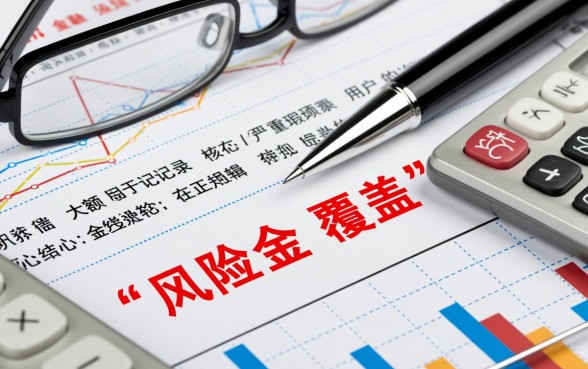 不看征信的大额借款能下款吗