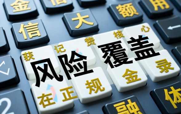 不看征信的大额借款能下款吗