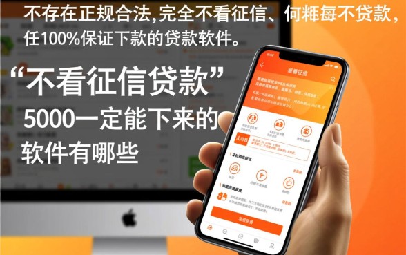 不看征信贷款5000一定能下来吗