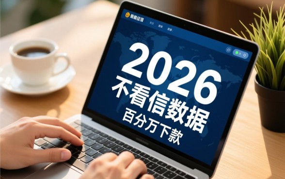 2026不看征信能百分百下款吗