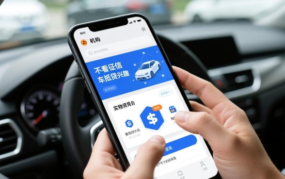 信贷机构为何会对不看征信的车抵贷感兴趣