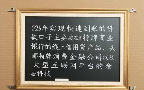 24年还有哪些贷款口子可以实现快速到账
