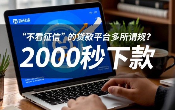 有没有不看征信的贷款平台2000秒下款