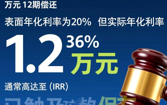 网贷借10000分12期还12000利息高吗