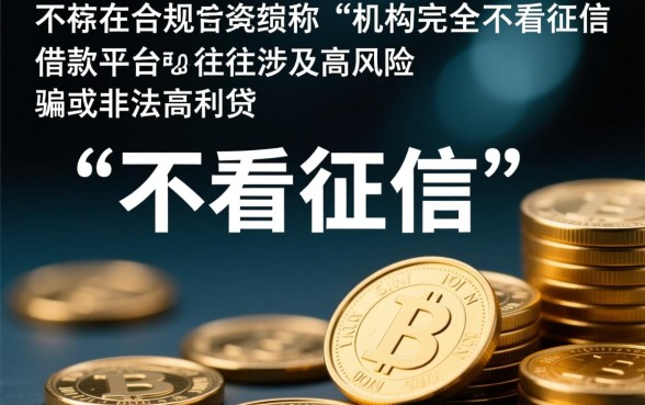 急用钱不看征信借款