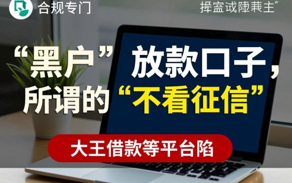 和大王借款一样黑户能下款的口子叫什么