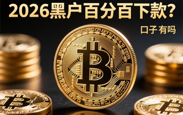 2026黑户百分百下款的网贷口子有吗