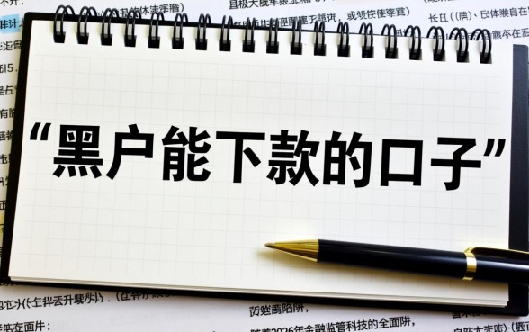 黑户能下款的口子真的能下款吗2026