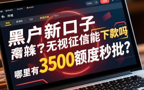 黑户新口子无视征信能下款吗