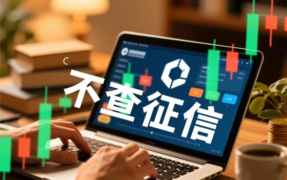 哪些借贷平台可以申请不查征信的贷款