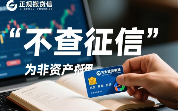 不查征信的正规贷款申请流程是怎样的