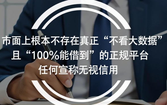 不看大数据借钱的平台100