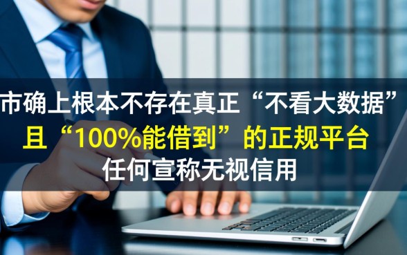 不看大数据借钱的平台100