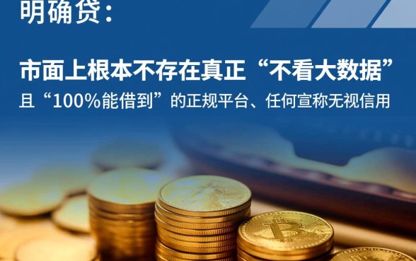 不看大数据借钱的平台100