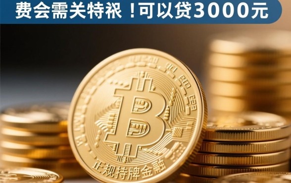 可以贷3000元的贷款平台有哪些呢