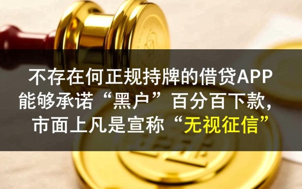 黑户有什么app可以借钱百分百借到