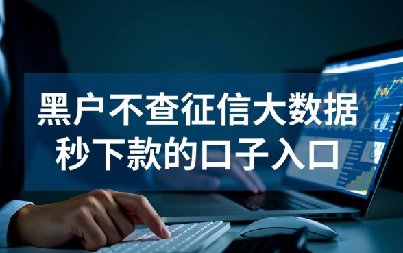 黑户不查征信能秒下款吗