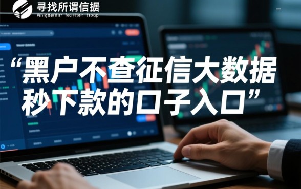 黑户不查征信能秒下款吗
