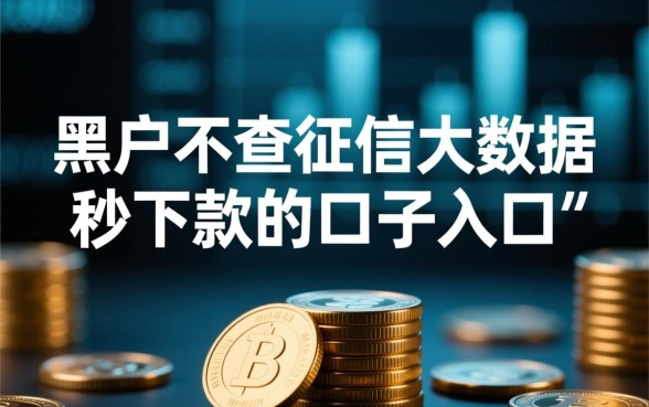 黑户不查征信能秒下款吗