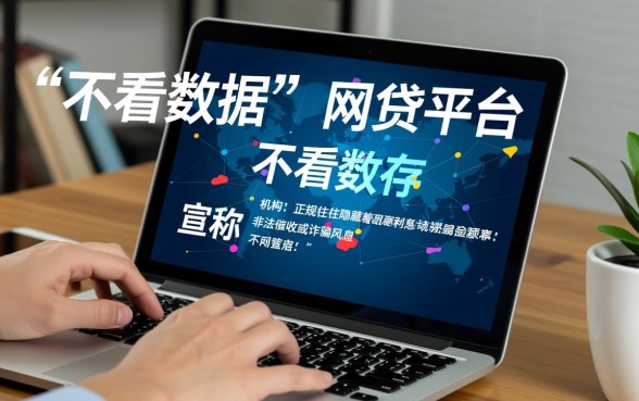 最好借钱的网贷平台不看数据是真的吗