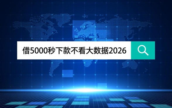 借5000秒下款不看大数据是真的吗
