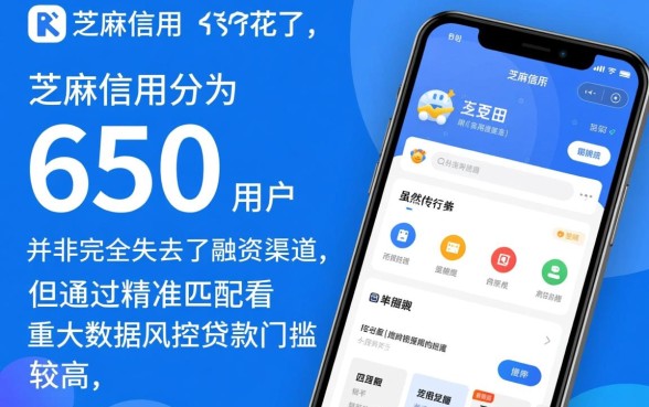 征信花了芝麻分650能下款吗