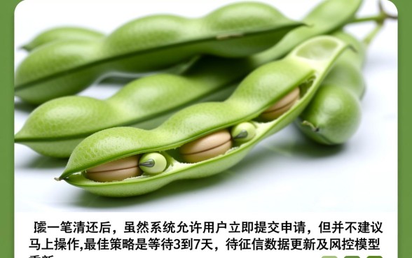 芸豆分一笔清还后能否马上申请贷款