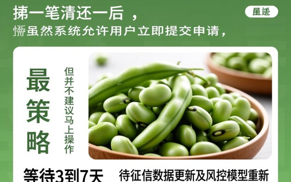 芸豆分一笔清还后能否马上申请贷款