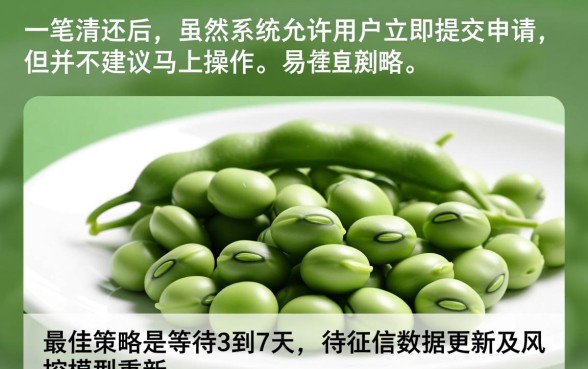 芸豆分一笔清还后能否马上申请贷款