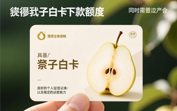 梨子白卡申请下款需要满足哪些条件