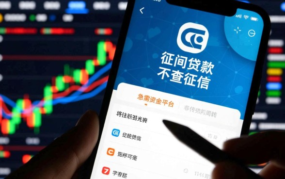 民间贷款不查征信的平台有哪些选择